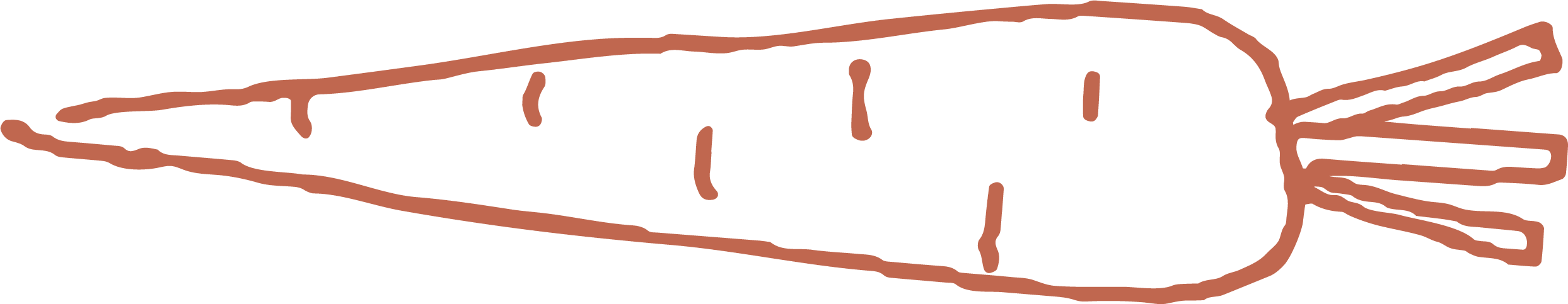 carrot-clay